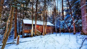 A wooden cabin surrounded by tall trees in a snowy forest.
