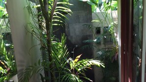 Villa, 4 Bedrooms | Bathroom - Villa Kuda Jaya (Kerobokan)