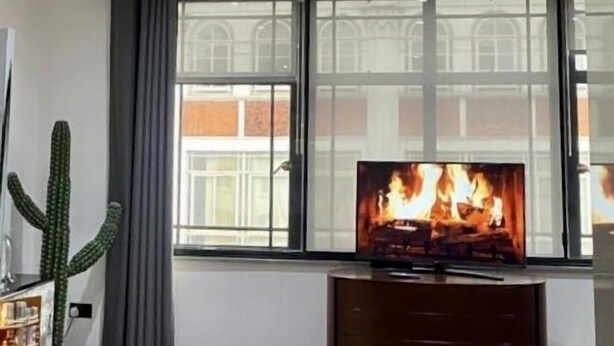 Un soggiorno moderno con una grande televisione, un cactus e un pavimento in legno.