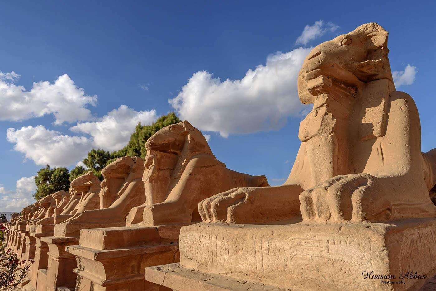 Foto - Nile Cruise King Tut