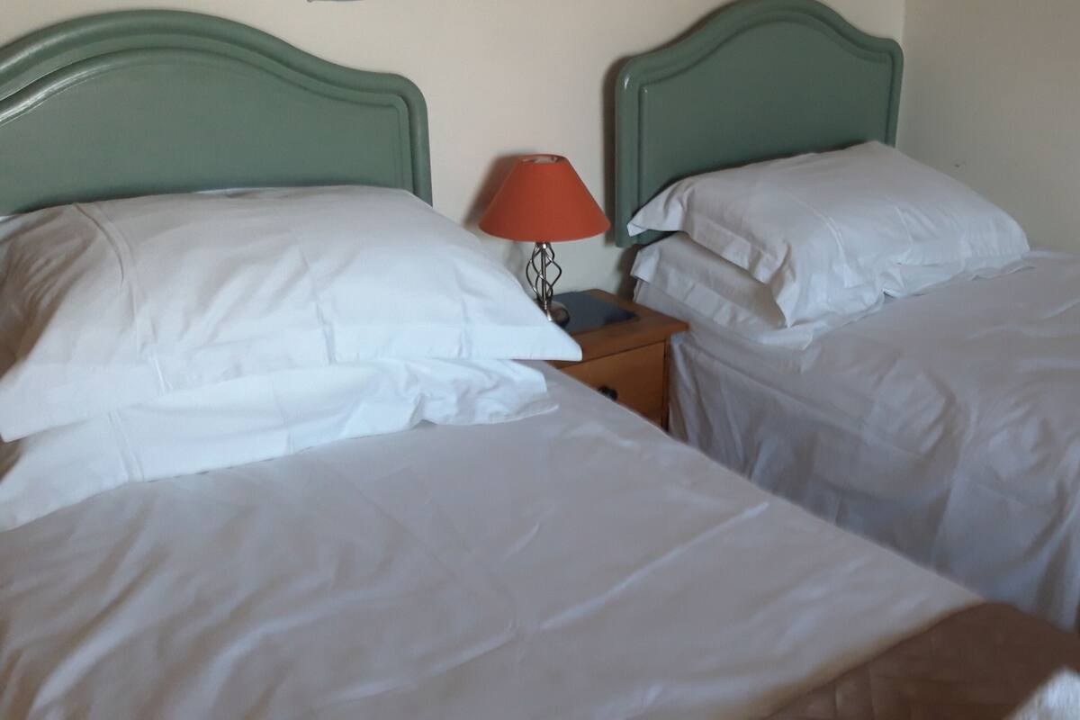 Habitación Deluxe con 1 cama matrimonial o 2 individuales | Wifi gratis, decoración personalizada y muebles diferentes 