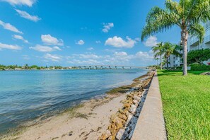 A waterfront promenade with a clear view of a bridge, a grassy area with palm trees, and a calm body of water. - Waterfront 2BR condo with pool, hot tub, balcony, and water views. (St Petersburg)