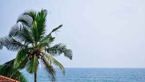 A palm tree by the ocean with a clear sky. - Located in Hikkaduwa, a 2-minute walk from town and supermarket hikkaduwa beach (Hikkaduwa)