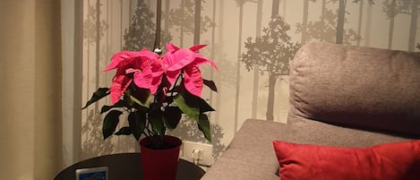 A cozy living room with a sofa, a red cushion, a small table with a potted plant, and a floor lamp.