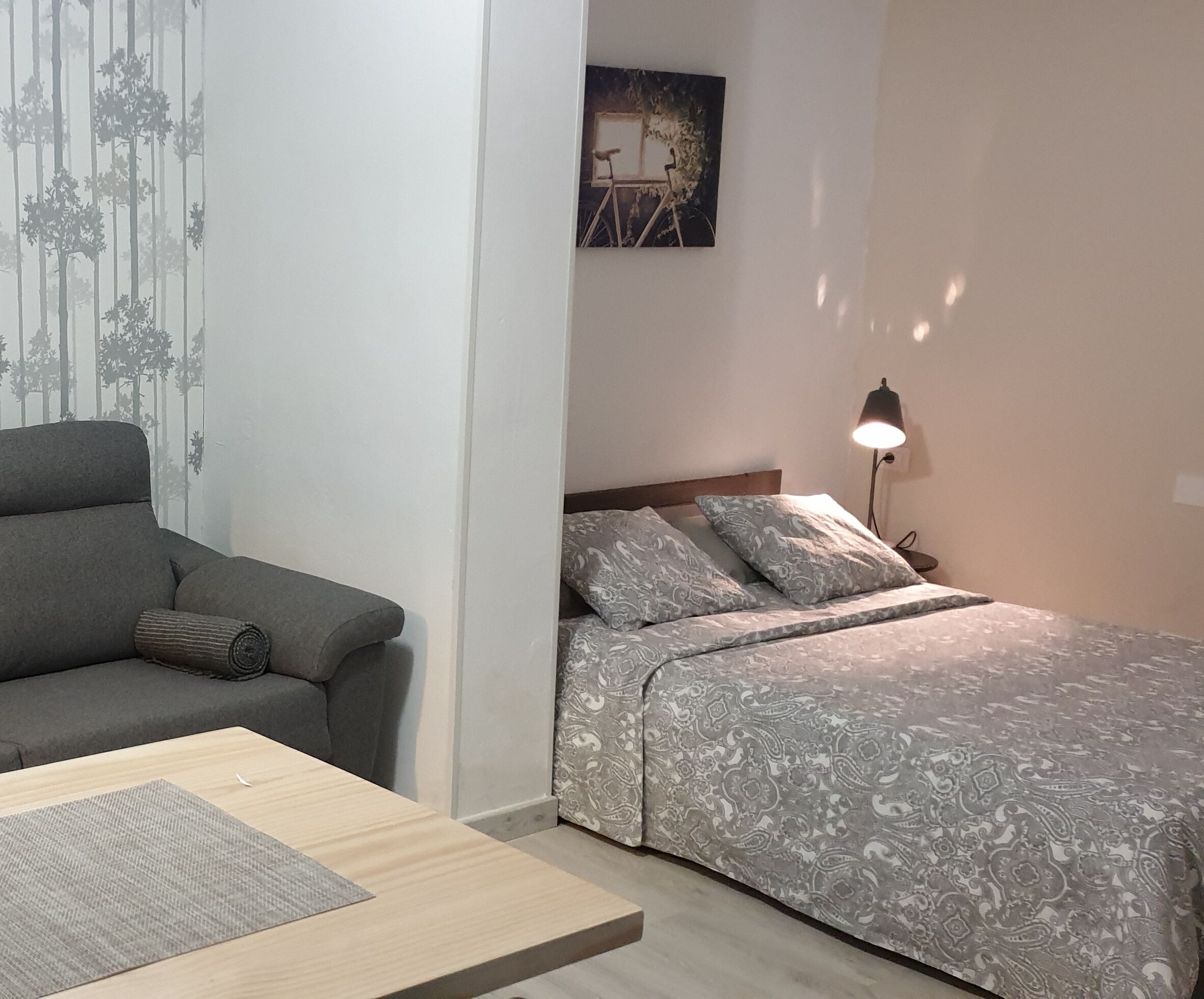 1 chambre, fer et planche à repasser, Wi-Fi gratuit, draps fournis