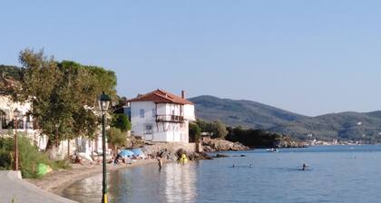 Epavli Sofia 1st floor apartment 30 metres from the sea