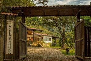 Área da propriedade
