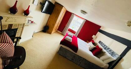 Bay Horse - Adults Only