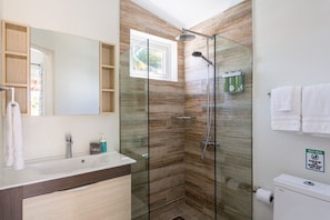 Shower, hair dryer, towels, soap