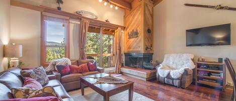 Télévision, cheminée, lecteur de DVD, chaîne hi-fi