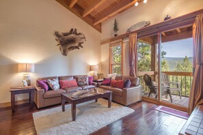 TV, fireplace, DVD player, stereo