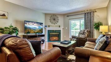 Fernseher, Kamin, DVD-Player, Videothek