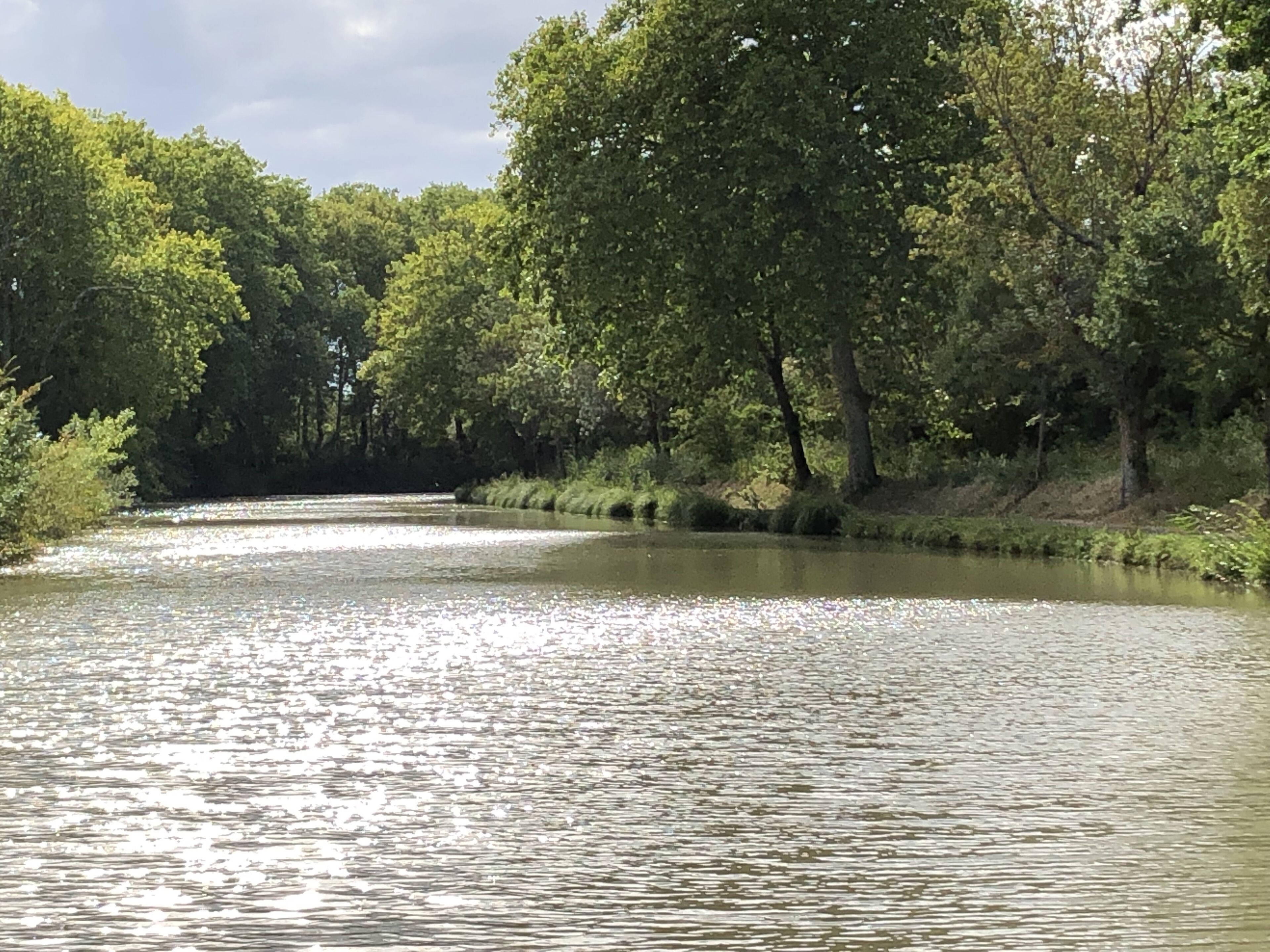 A river with trees on both sides.