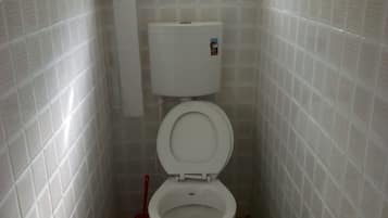 Double Room Single Use | Bathroom | Shower, free toiletries, towels