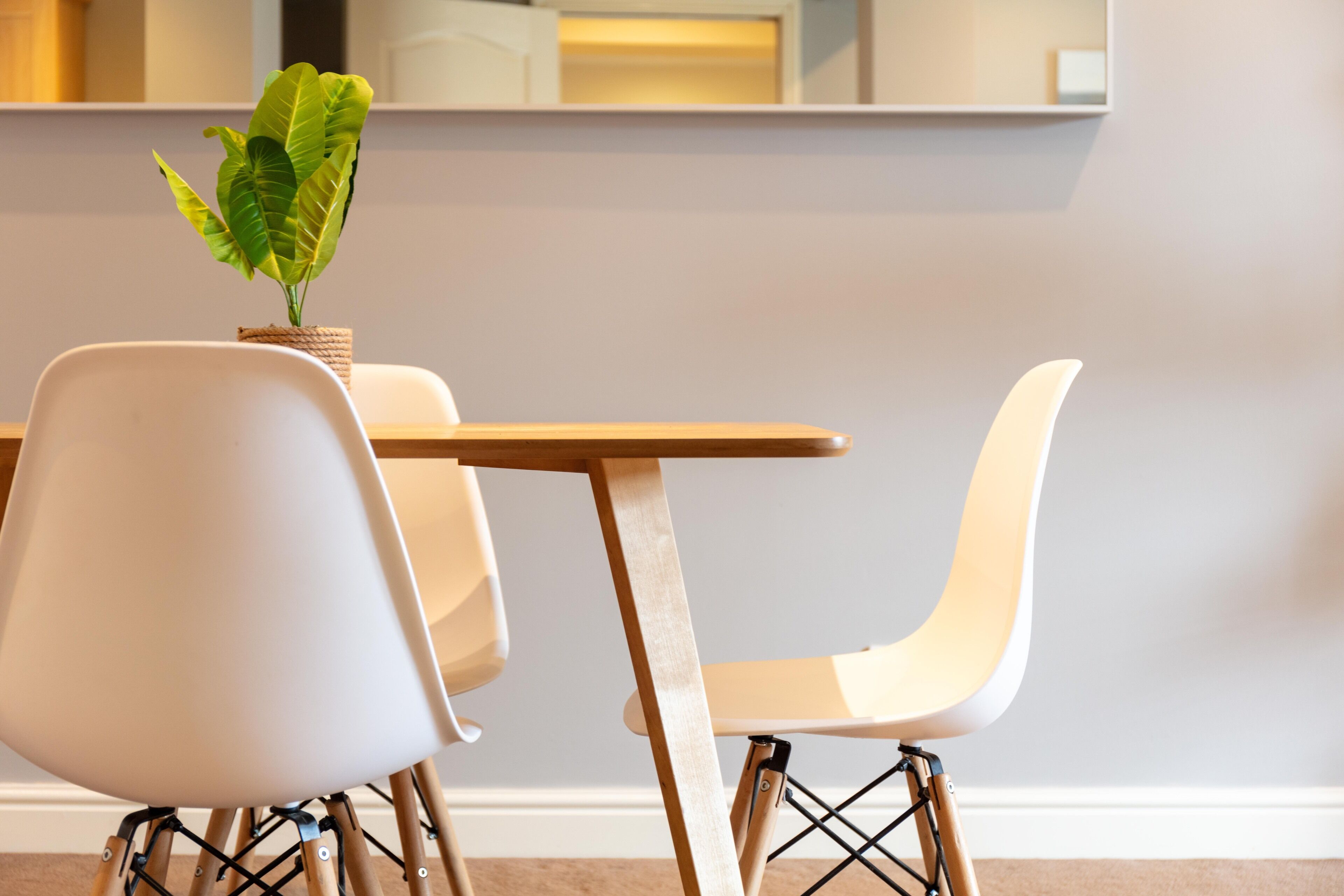 A modern dining area with a white table and chairs, a potted plant, and a light-colored wall.