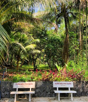 Jardin