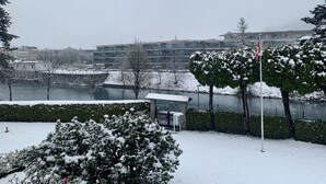 水景
