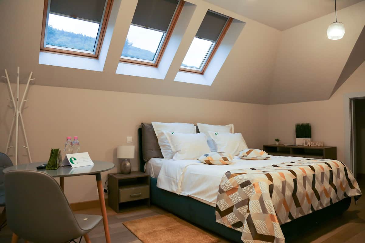 Un dormitorio con una cama, un escritorio, una silla y dos tragaluces.