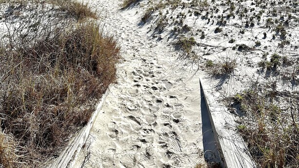 Un sentier de sable qui longe la plage et mène à l’océan, avec une végétation clairsemée.
