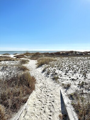Ein sandiger Küstenweg führt zum Meer, gesäumt von vereinzelten Pflanzen.