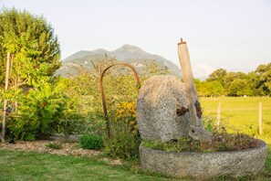 Vista del jardí