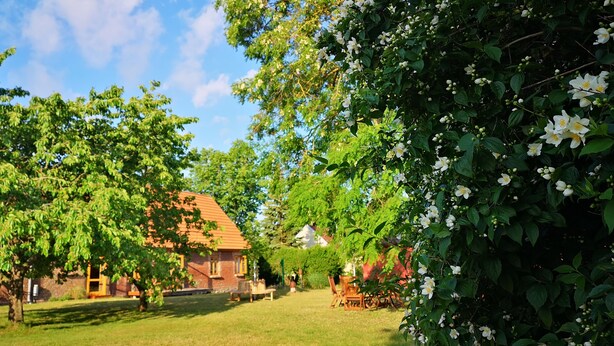 Une maison à l’extérieur en briques, entourée d’une pelouse bien entretenue et d’arbres.