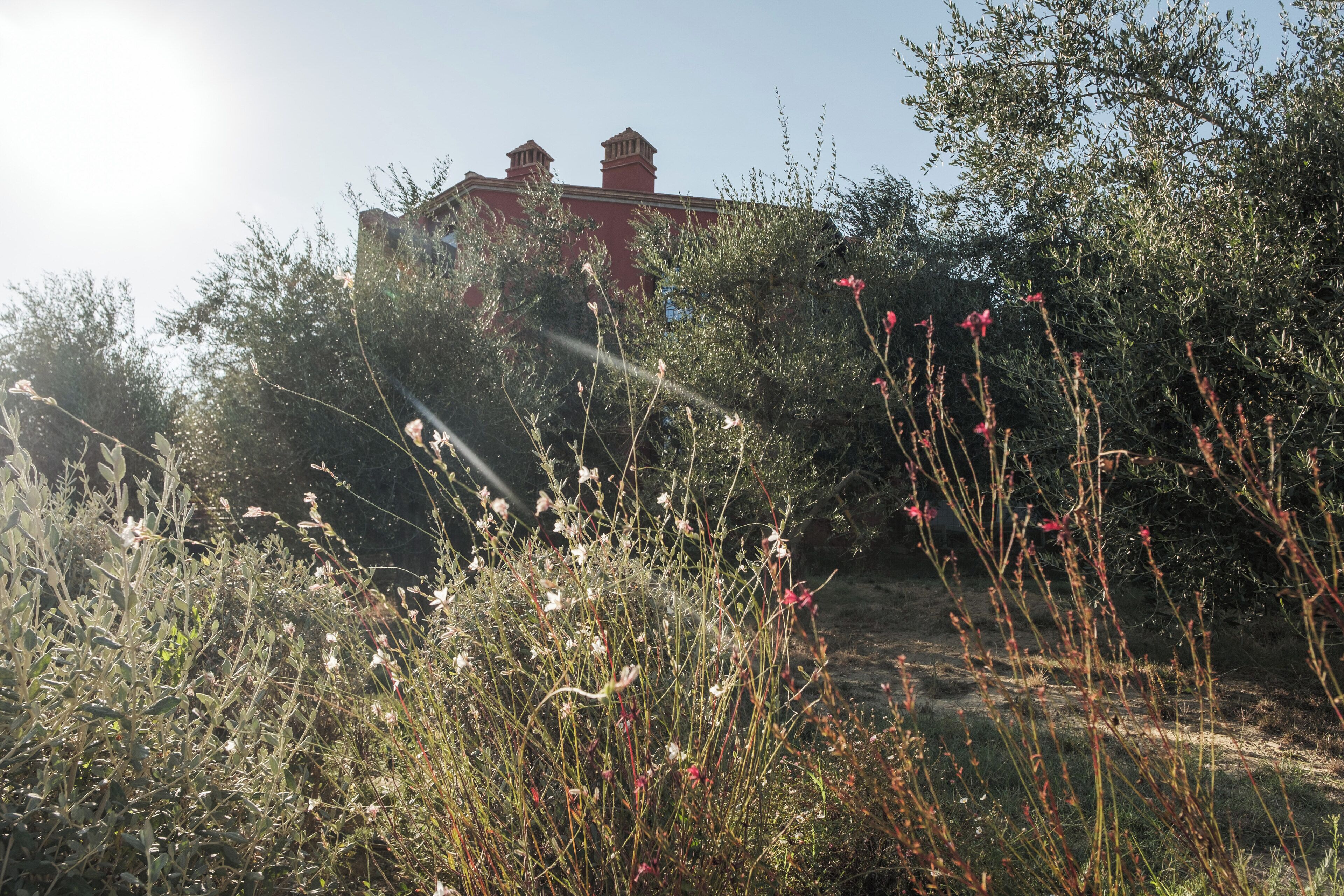 A building with a red roof and chimneys, surrounded by dense vegetation and wildflowers.