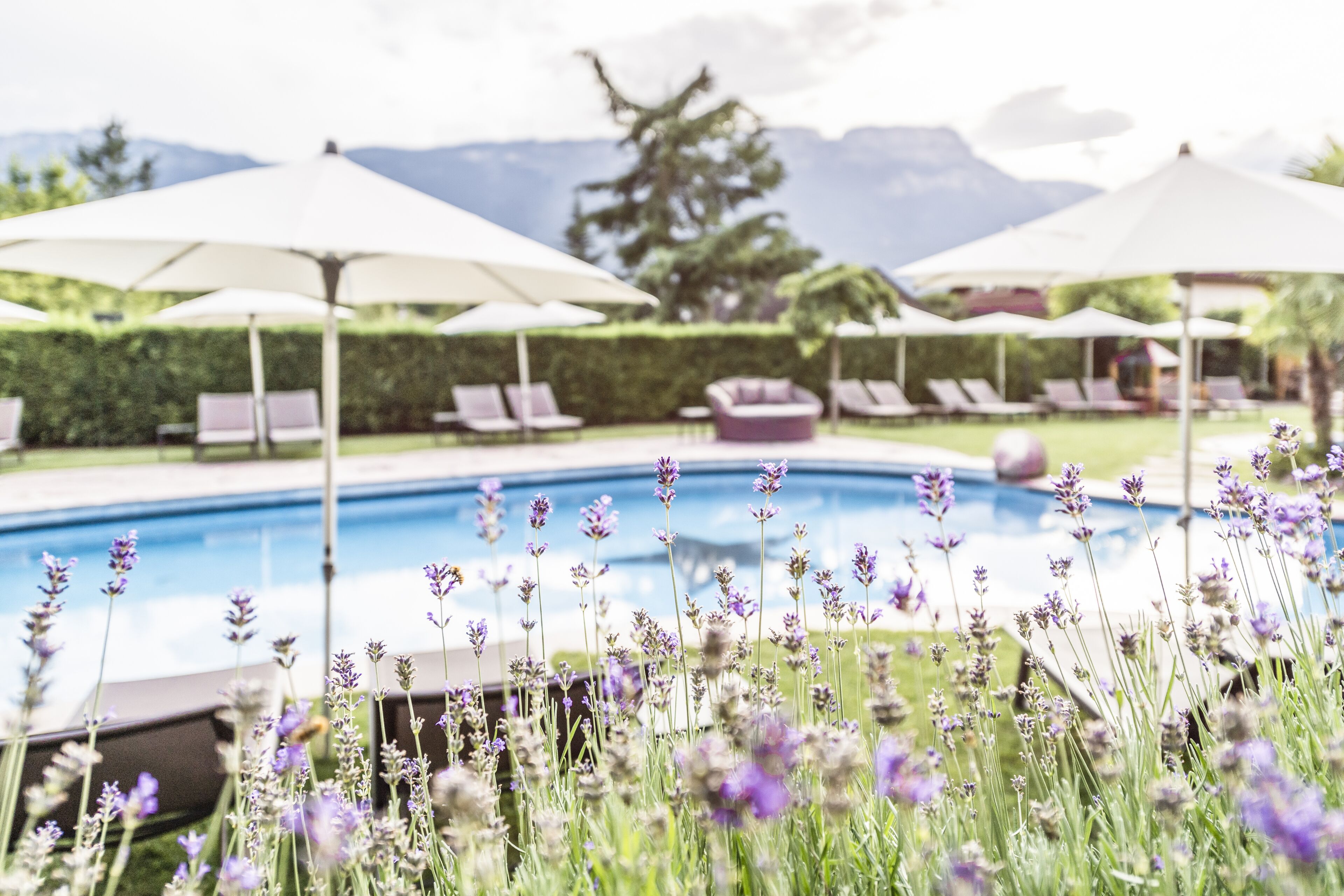 Indoor pool, seasonal outdoor pool, pool umbrellas, pool loungers