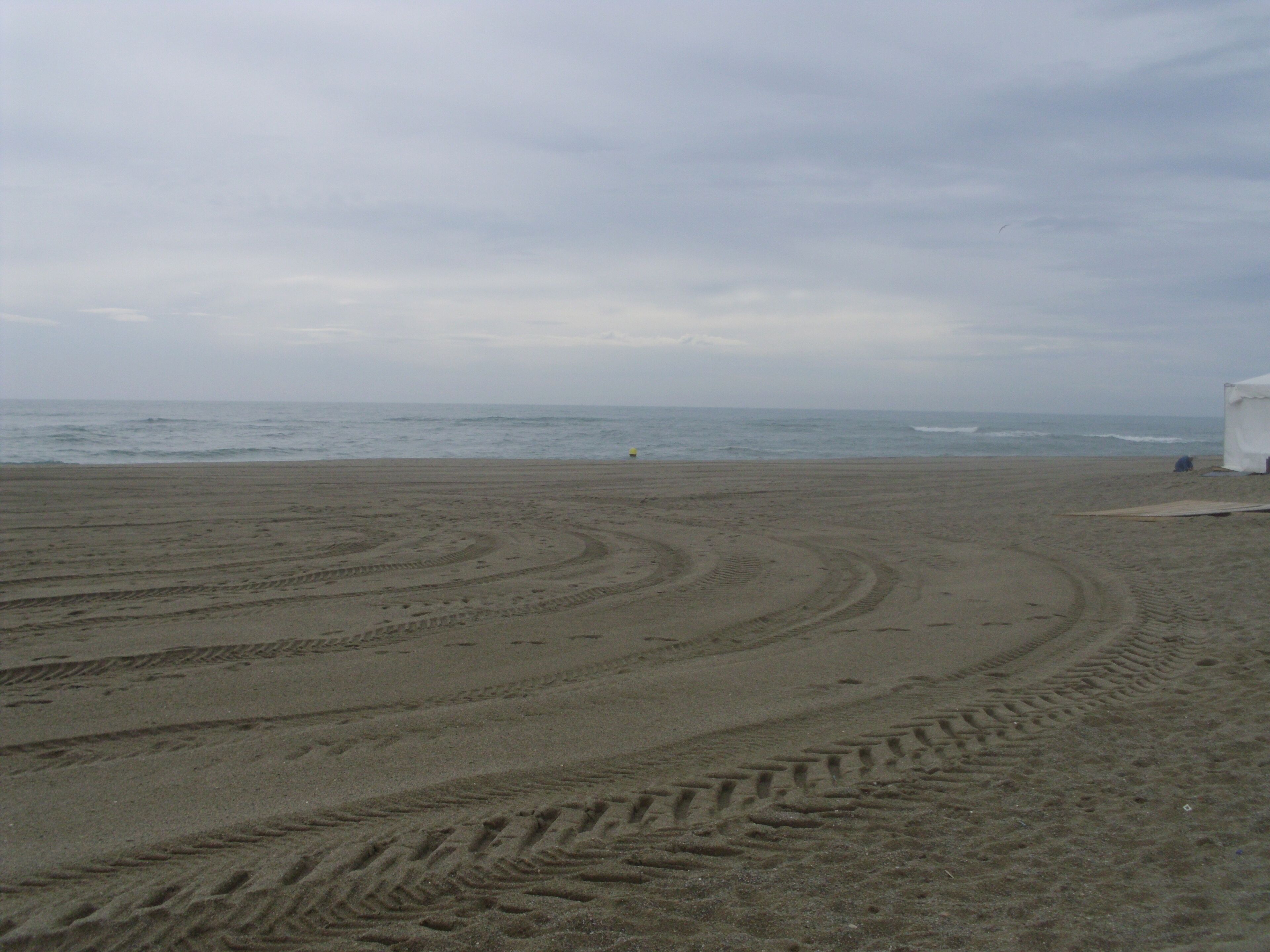 Une plage de sable où l’on voit des traces de pneus menant à l’eau.