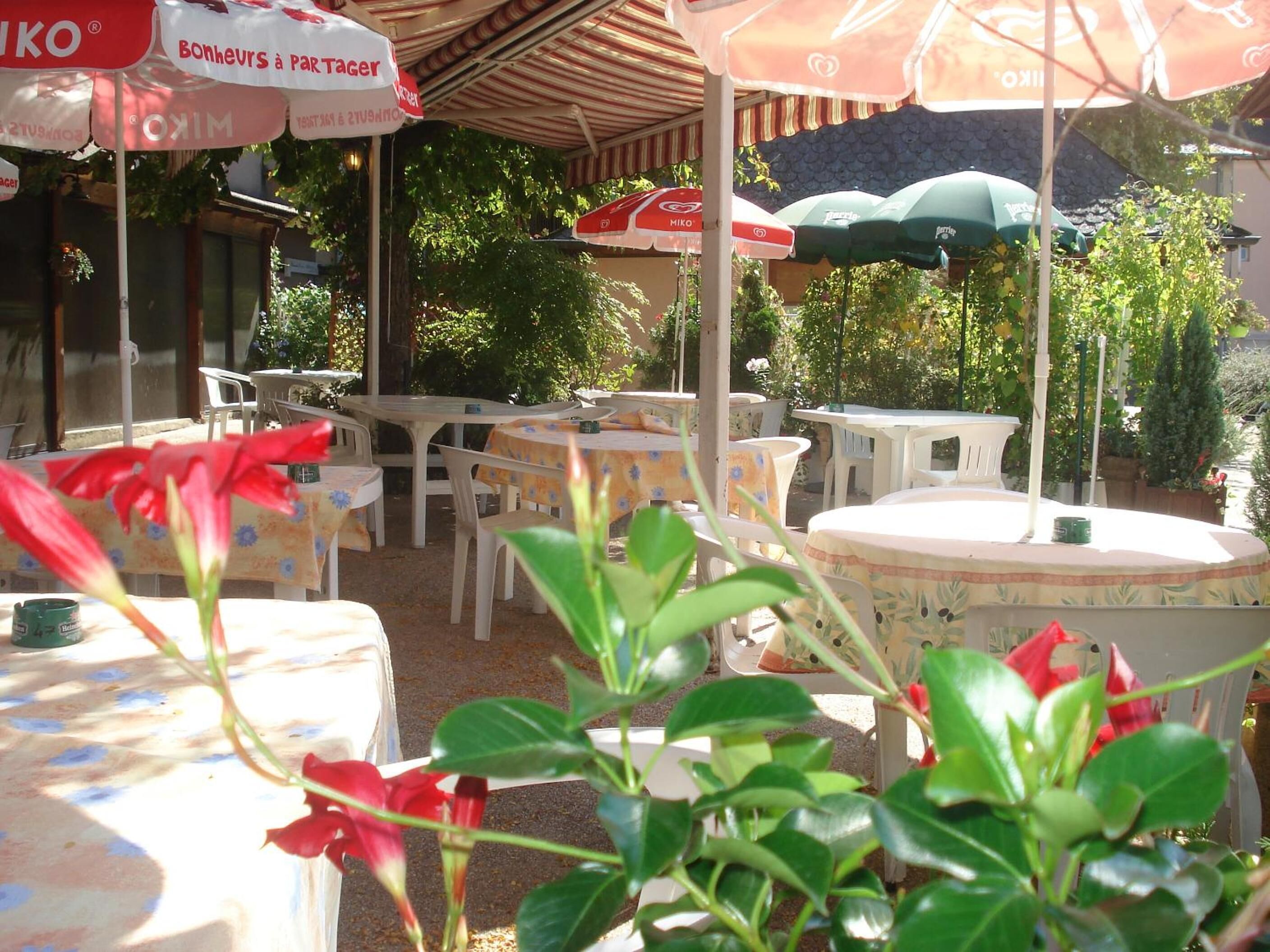 An outdoor seating area with tables and chairs under umbrellas, surrounded by greenery.