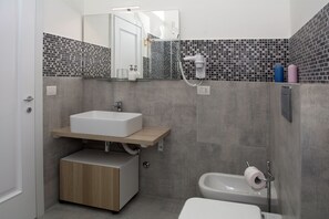 Shower, hair dryer, bidet, towels