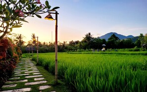 Garden - Umma Bali Menjangan (Pejarakan)