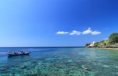 Umma Bali Menjangan