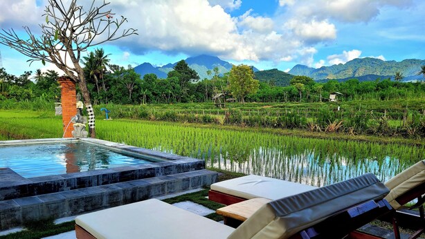 A pool with lounge chairs and a view of a lush landscape with mountains. - Umma Bali Menjangan (Pejarakan)