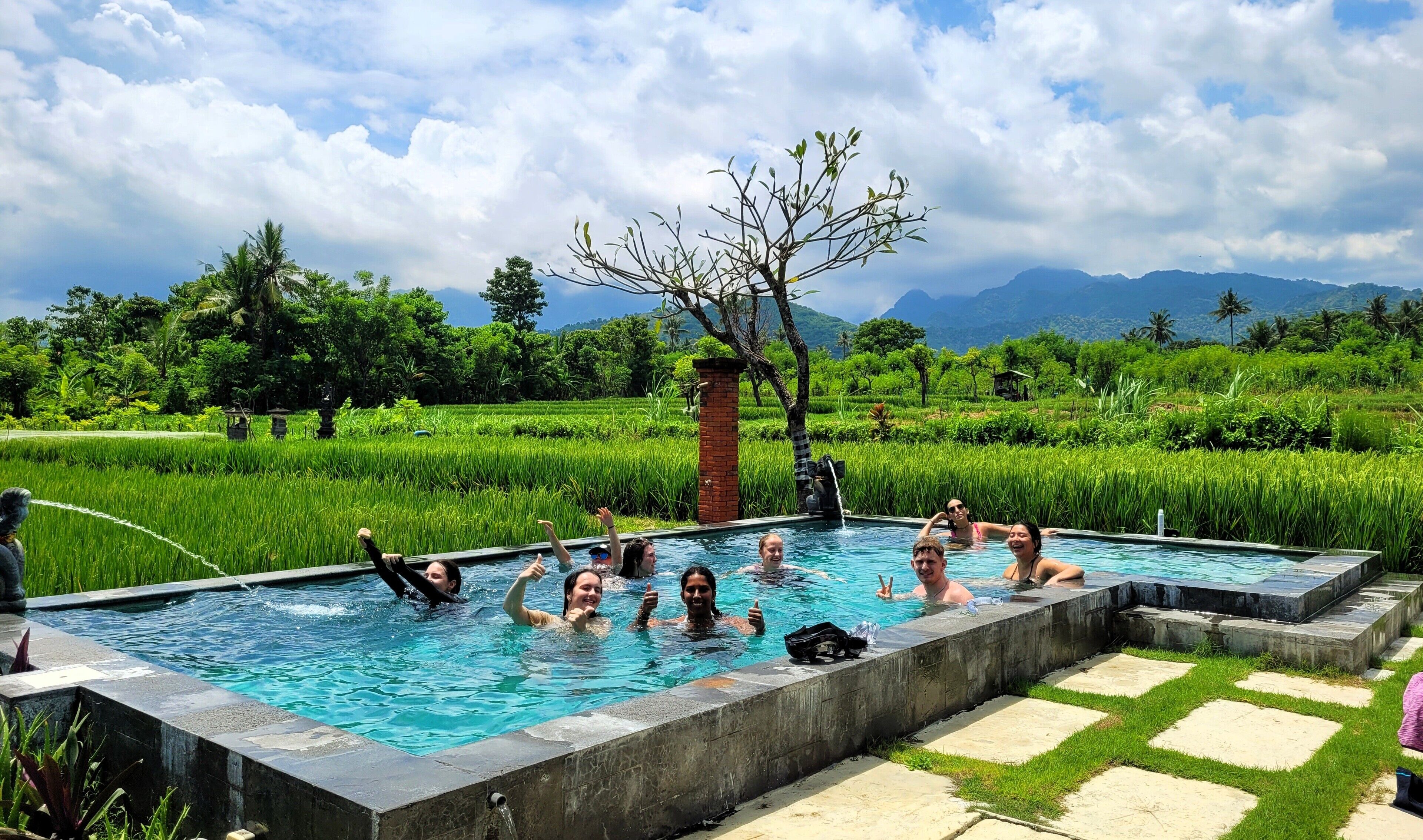 A rectangular pool with a stone border, surrounded by lush greenery and a clear sky.