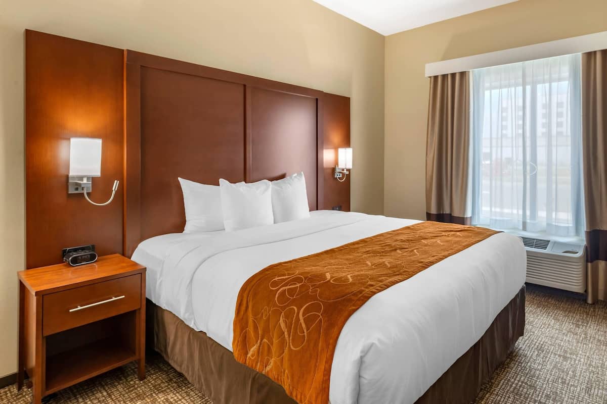 Suite, 1 cama King size y sofá cama, con acceso para personas discapacitadas, para no fumadores | Escritorio, espacio para trabajar con laptop y cortinas blackout
