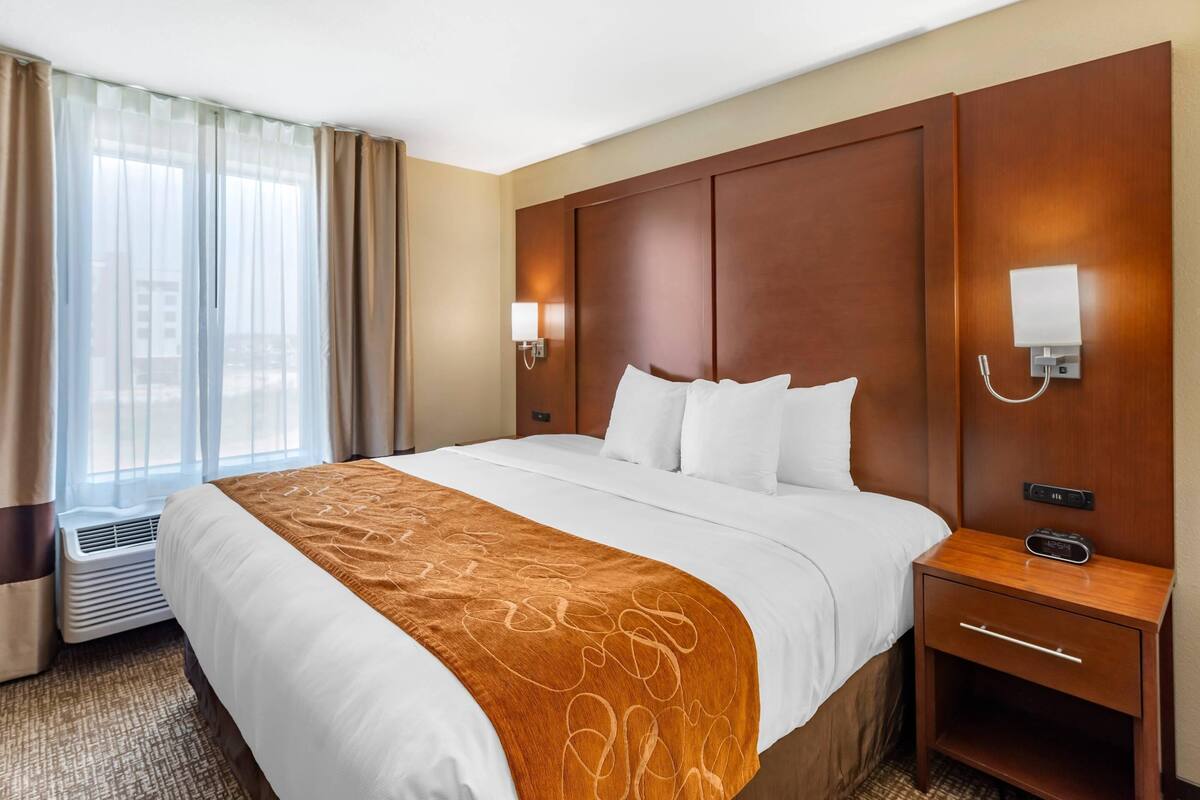 Suite, 1 cama King size y sofá cama, para no fumadores | Escritorio, espacio para trabajar con laptop y cortinas blackout