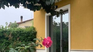 A yellow building with a glass door, surrounded by potted plants and a pink flower. - Victory House 3 (Celano)