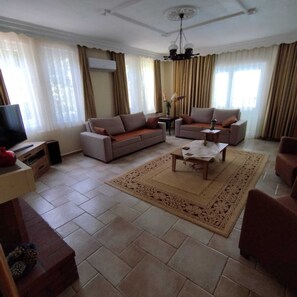 Smart TV, fireplace, DVD player, books