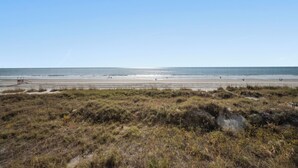 A beach with a sandy shore and sparse vegetation in the foreground.