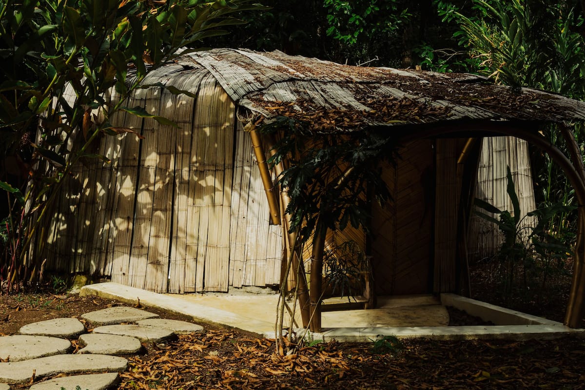 A rustic wooden structure with a sloped roof, surrounded by dense foliage.