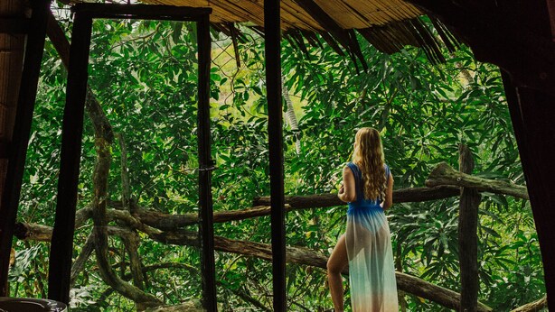 Quarto com uma grande janela com vista para um jardim exuberante.