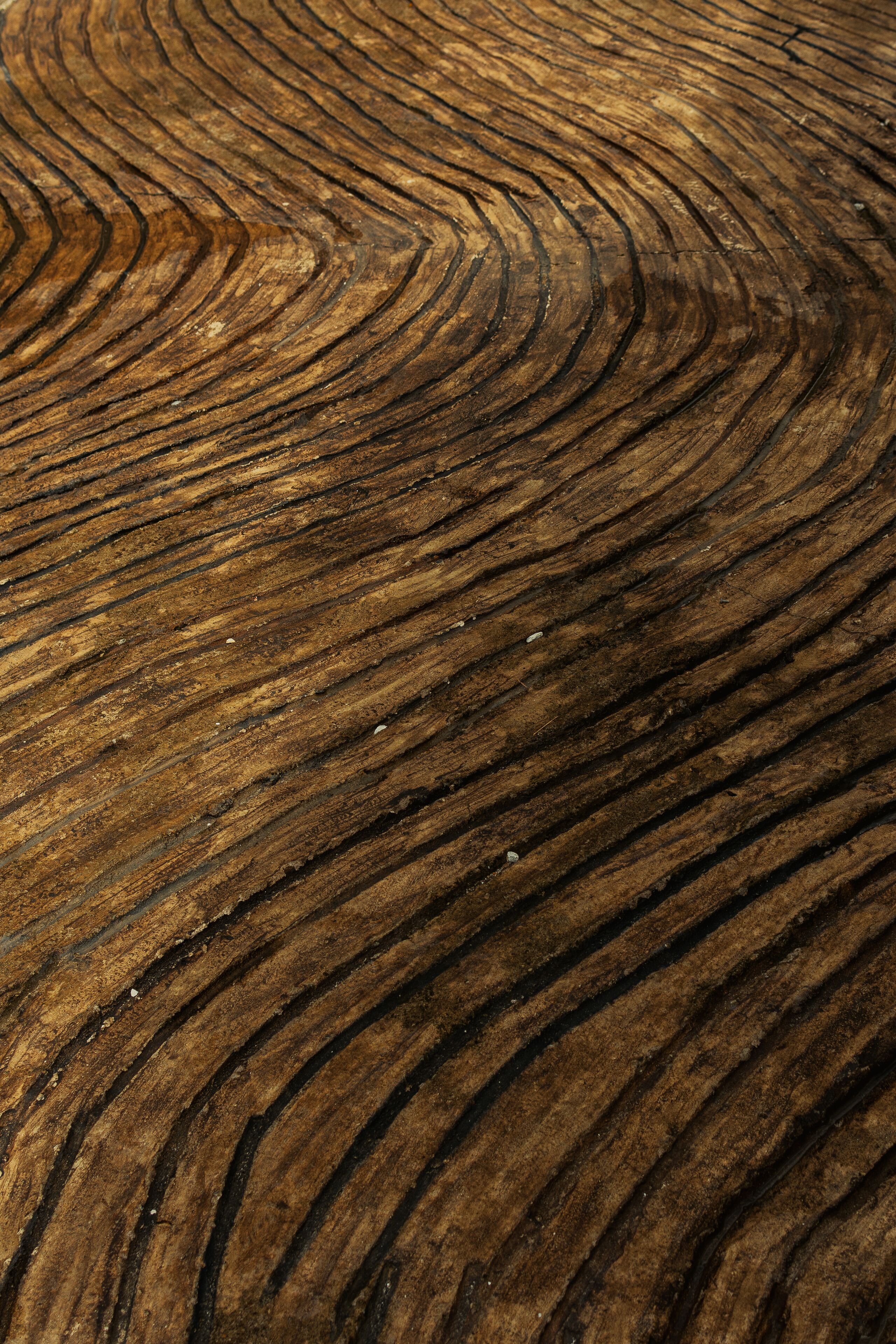 A close-up of a wooden surface with concentric curved lines.