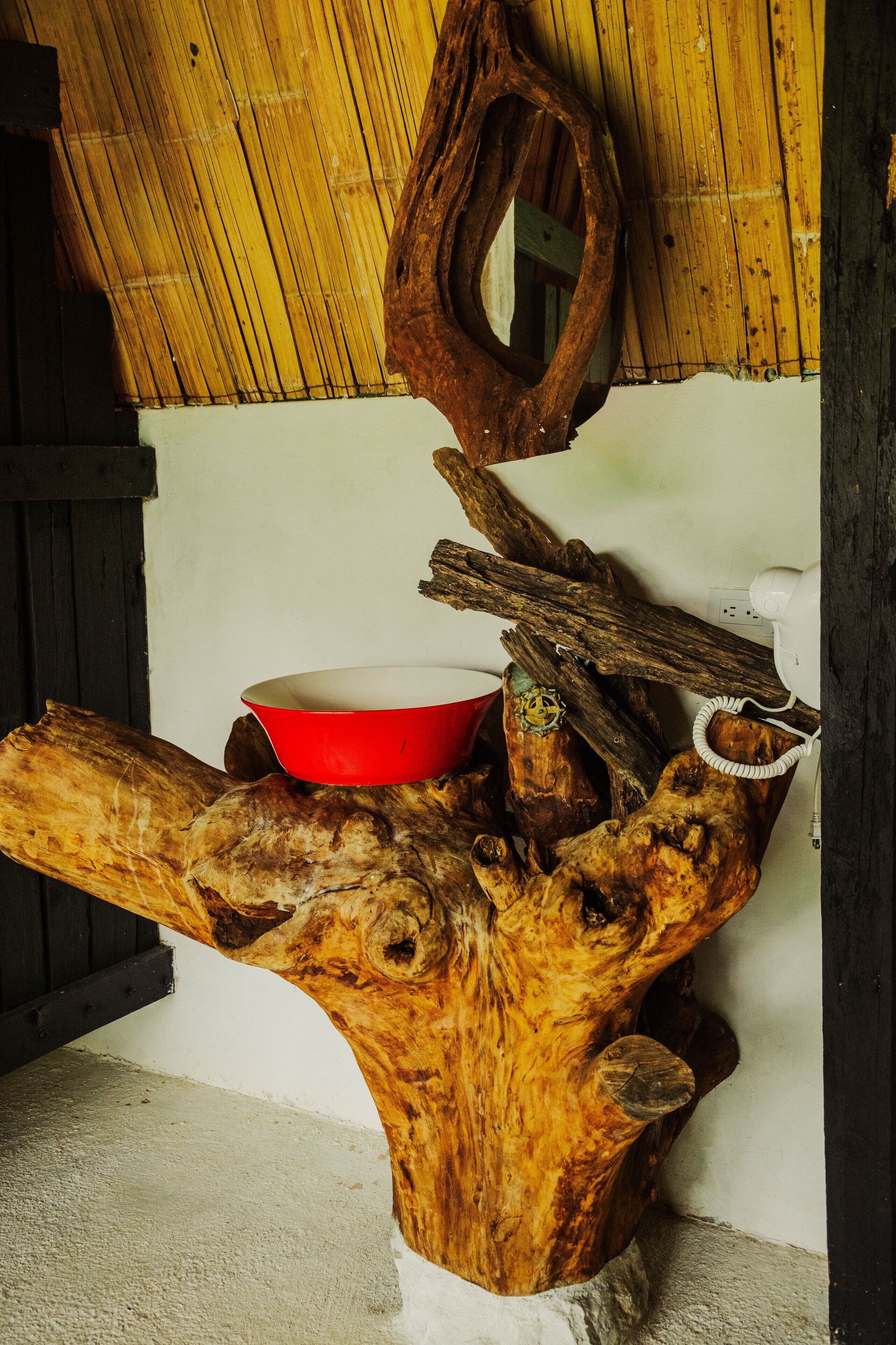 A rustic interior with a large tree trunk serving as a table, a red bowl, and a white electrical outlet on the wall.