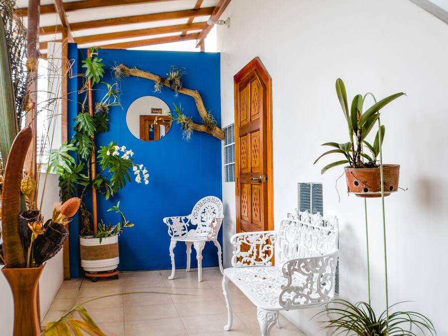 A room with a blue accent wall, white ornate furniture, and various potted plants.