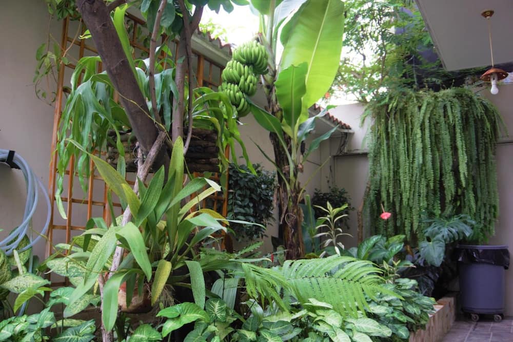 Hostal Macaw