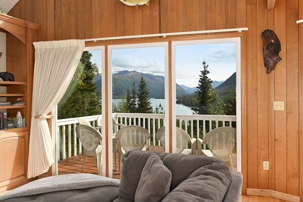 TV, Netflix, books, streaming services