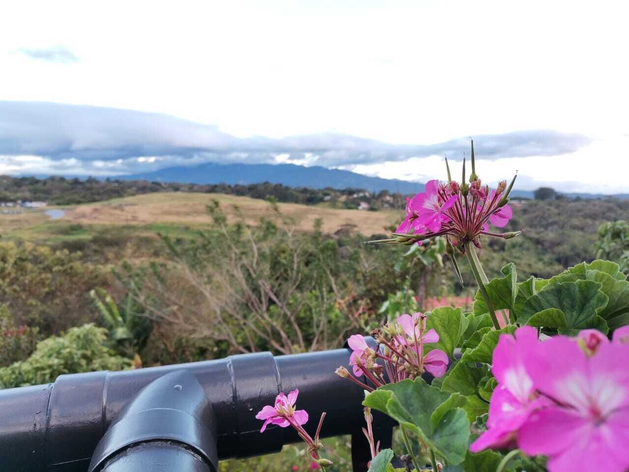 Photo - Rancha Azul Inn