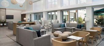 เอเลเมนท์ เซโดนา