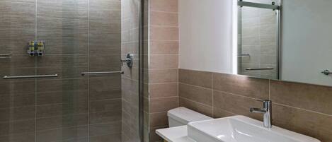 A modern bathroom with a walk-in shower, a toilet, and a vanity with a sink and mirror.